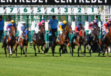 What Are the BSP, XSP, BOG, ISP/SP, Starting Prices in Sports Betting BSP Best Odds Guaranteed Starting Price