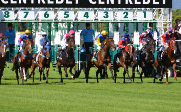 What Are the BSP, XSP, BOG, ISP/SP, Starting Prices in Sports Betting BSP Best Odds Guaranteed Starting Price