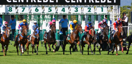 What Are the BSP, XSP, BOG, ISP/SP, Starting Prices in Sports Betting BSP Best Odds Guaranteed Starting Price