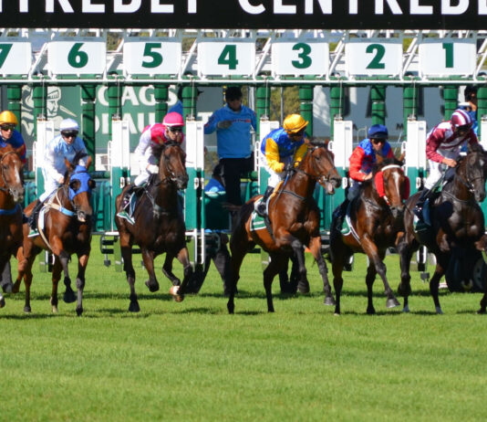 What Are the BSP, XSP, BOG, ISP/SP, Starting Prices in Sports Betting BSP Best Odds Guaranteed Starting Price