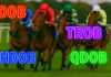 Understanding DOB, HDOB, TROB & QDOB Bets In Horse Racing DOB, HDOB, TROB & QDOB Bets