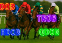 Understanding DOB, HDOB, TROB & QDOB Bets In Horse Racing DOB, HDOB, TROB & QDOB Bets