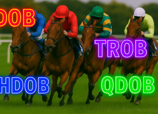 Understanding DOB, HDOB, TROB & QDOB Bets In Horse Racing DOB, HDOB, TROB & QDOB Bets