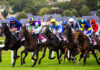 Understanding Horse Racing Bet Types on Sports Betting Exchanges: A Complete Guide Horse Racing Bet Types