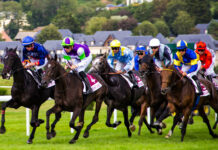 Understanding Horse Racing Bet Types on Sports Betting Exchanges: A Complete Guide Horse Racing Bet Types