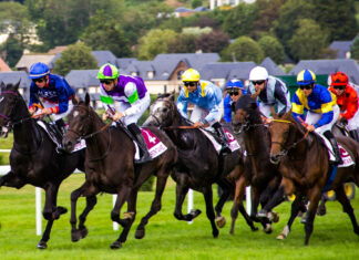 Understanding Horse Racing Bet Types on Sports Betting Exchanges: A Complete Guide Horse Racing Bet Types