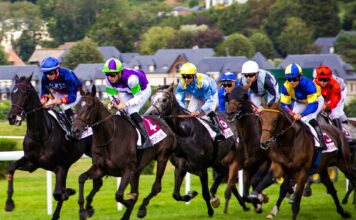 Understanding Horse Racing Bet Types on Sports Betting Exchanges: A Complete Guide Horse Racing Bet Types